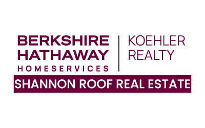 shannon_roof_400_250_website_sponsor